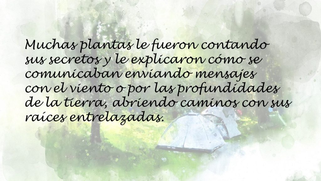 Mati decide acampar diapo 4