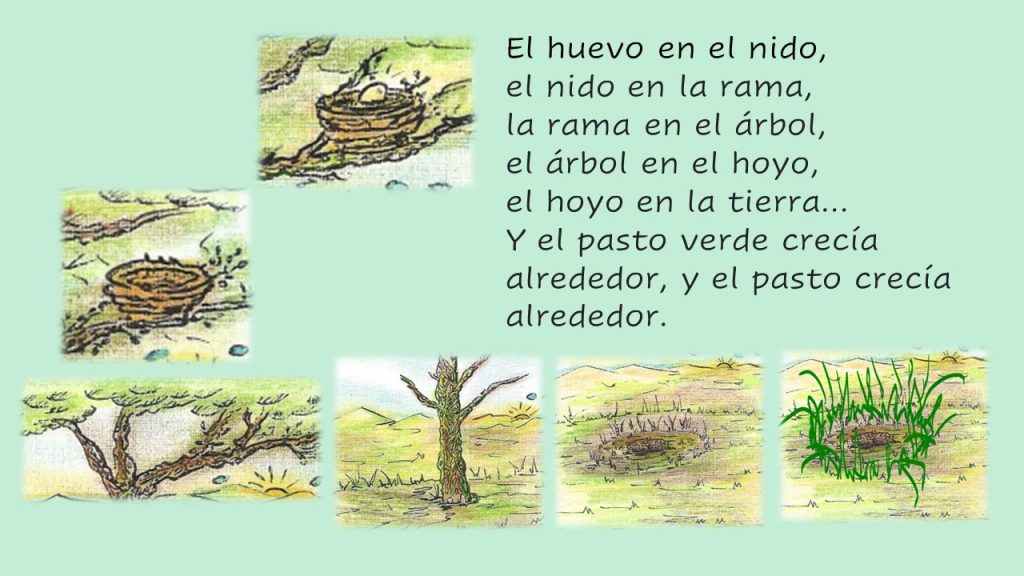 El pasto verde 11