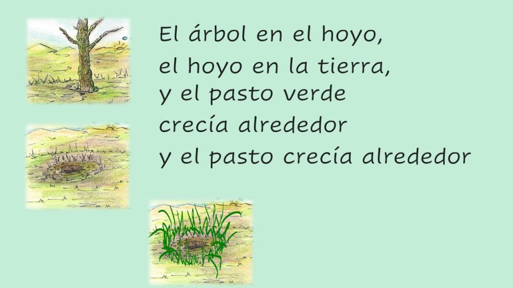 El pasto verde 5